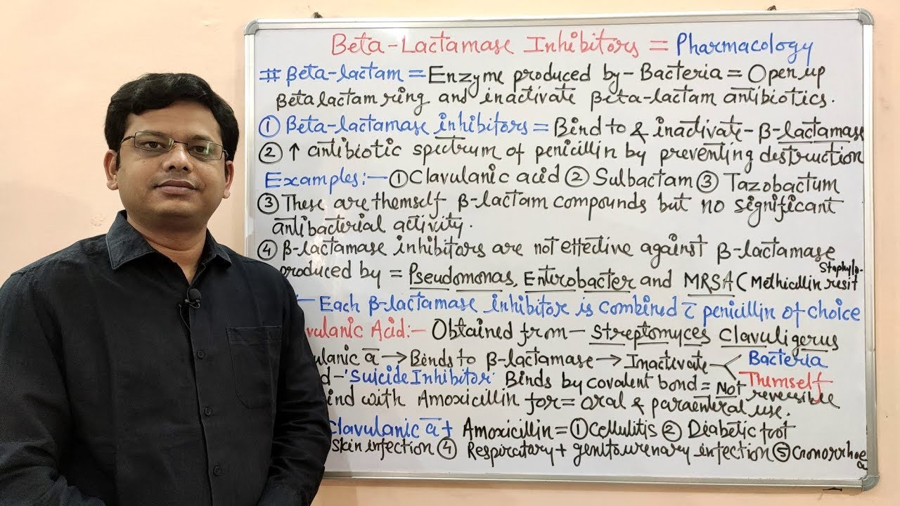 Chemotherapy of Antibiotics (Part- 08) Penicillin (04) Beta Lactamase Inhibitors | Beta Lactamase