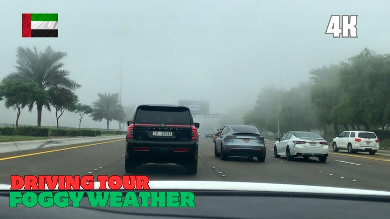 Abu Dhabi Weather | Foggy Weather | UAE Weather Update