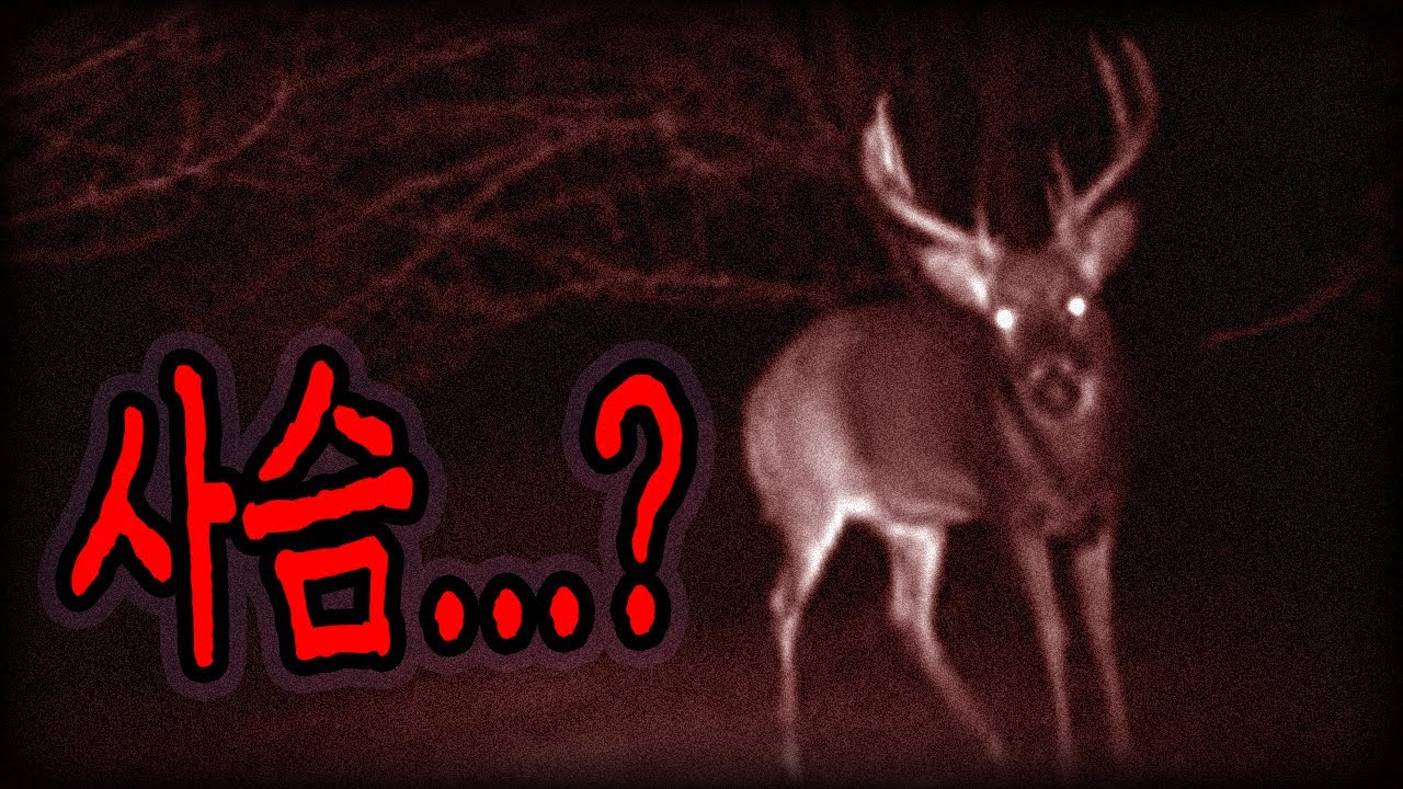 4챈 번역 장편 공포썰 [ 러시아의 야생동물에게 이상한 일들이 벌어지고 있다 ]