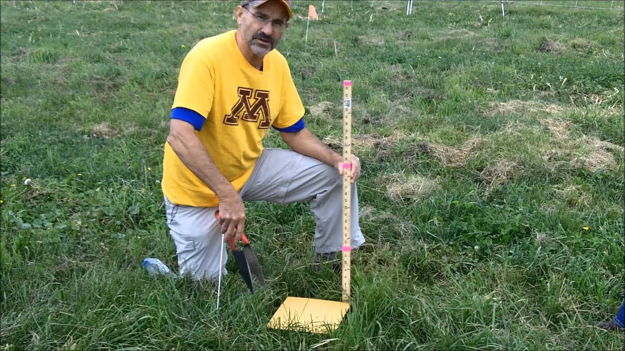 Pasture Sampling