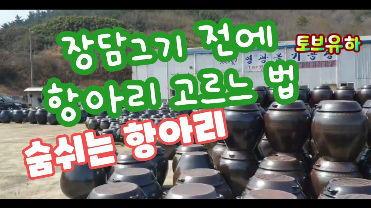 장담그기 장가르기 전 항아리  고르는 법 숨쉬는 항아리 사오기  영광옹기공장에서~ pottery, earthenware 토브유하