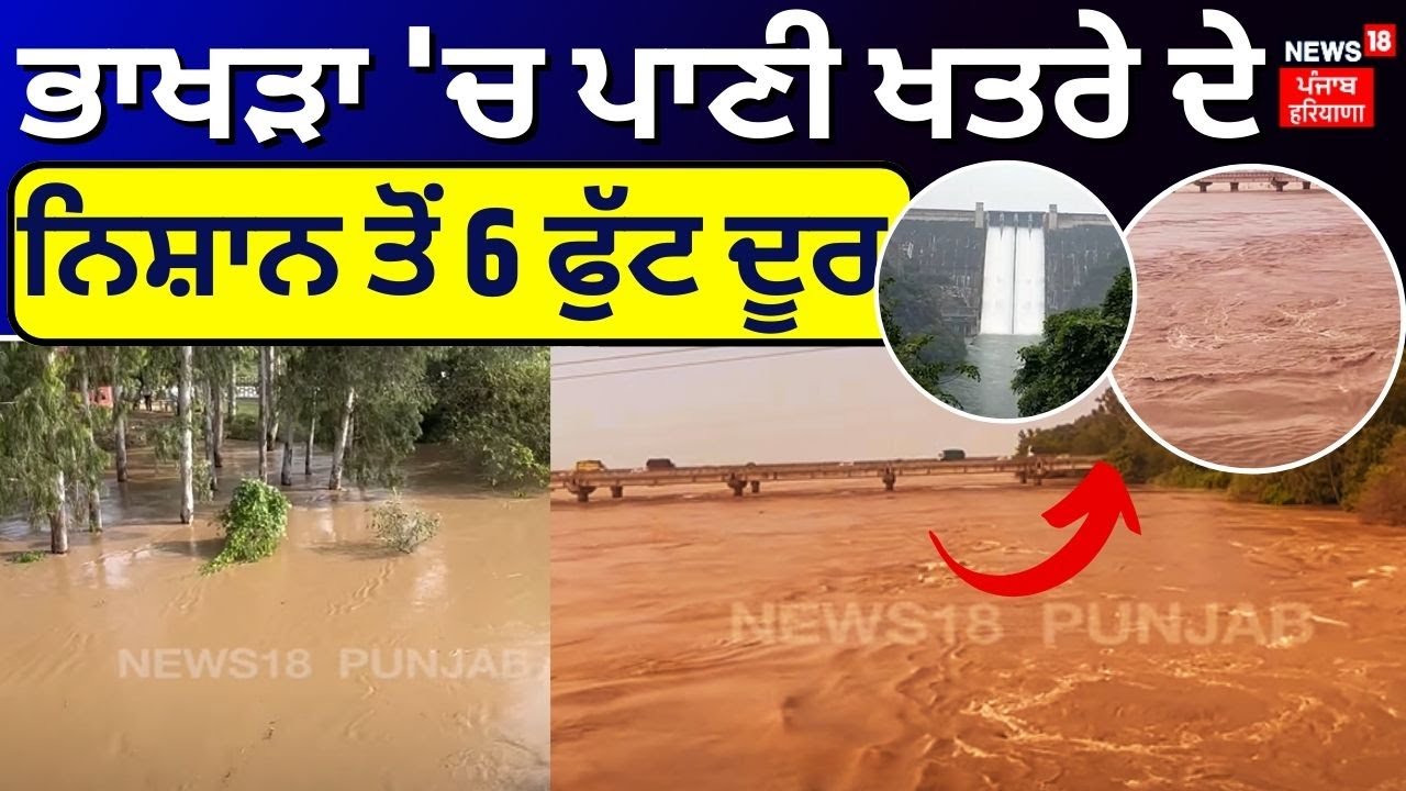 Bhakra Dam Water Level | ਭਾਖੜਾ ਡੈਮ 'ਚ ਪਾਣੀ ਖਤਰੇ ਦੇ ਨਿਸ਼ਾਨ ਤੋਂ 6 ਫੁੱਟ ਦੂਰ | Nangal Dam | N18V