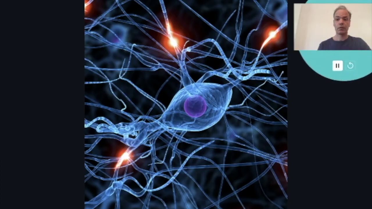 Sistema NeuroMuscular y gesto deportivo
