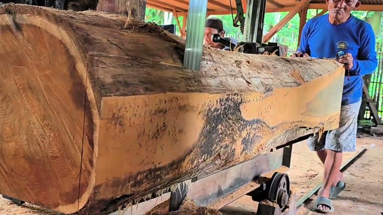 Hell teak wood brings disaster in sawmill