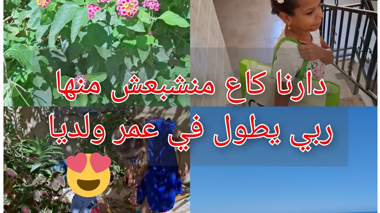 مفاجئة جاية في دارنا ترقبوها🤩تفكرت ليام الزينة وشعال غاضني الحال🥲