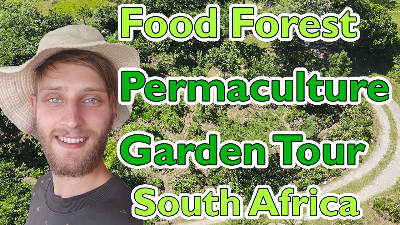 Food Forest / Permaculture Garden - South Africa