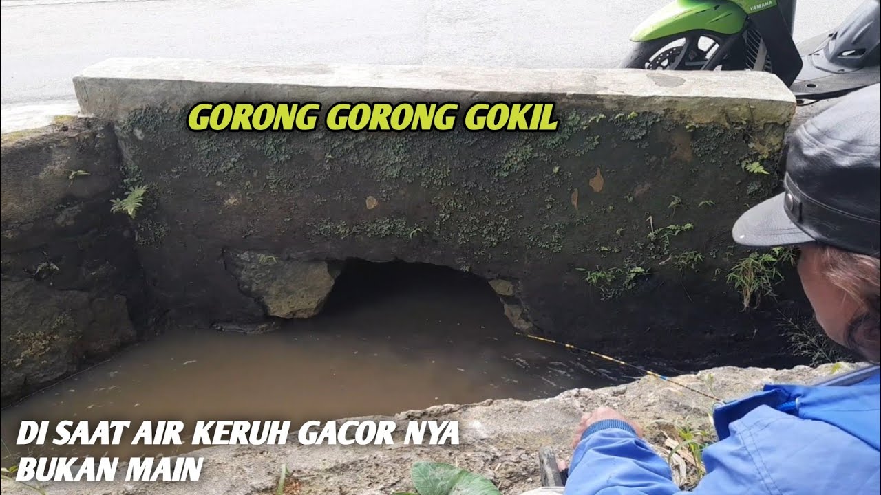 Di saat air keruh ikan makin gacor