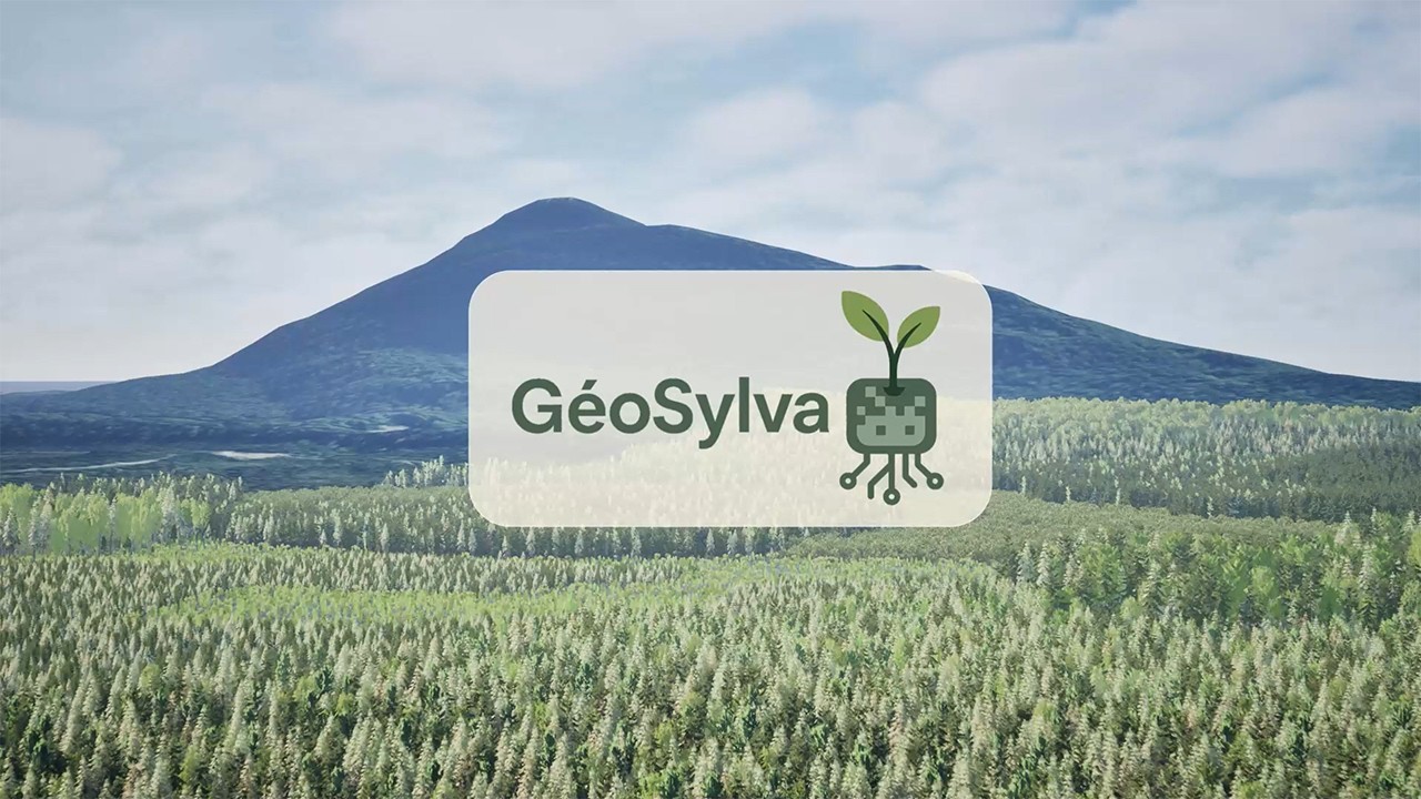 GéoSylva - A 3D visualization software for landscape development plans