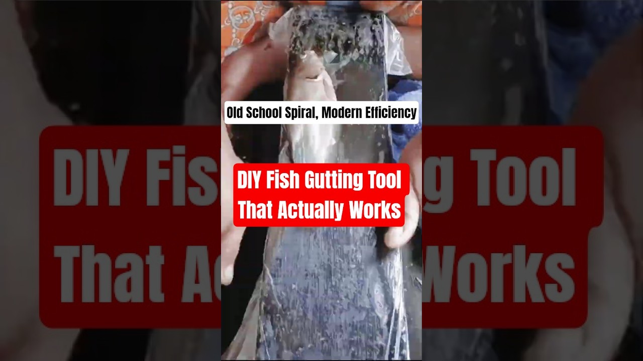 Smart Innovation: DIY Fish Gutting Tool That Works