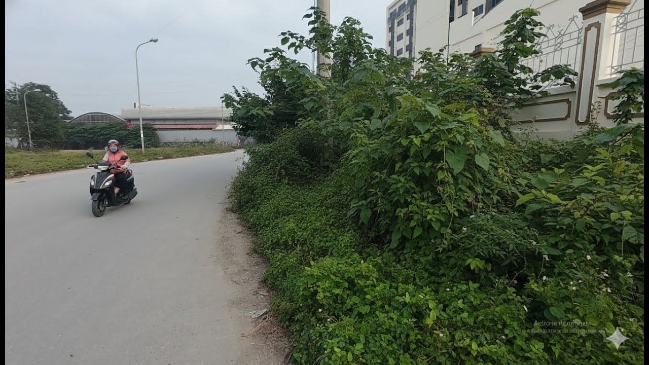 The STELLY sidewalk made us SHOCKED when we cleaned up the overgrown grass
