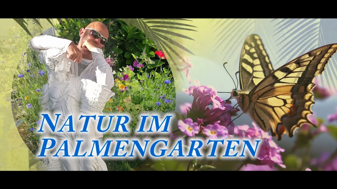 Natur im Palmengarten, naturnahe Biotope zwischen Exoten.
