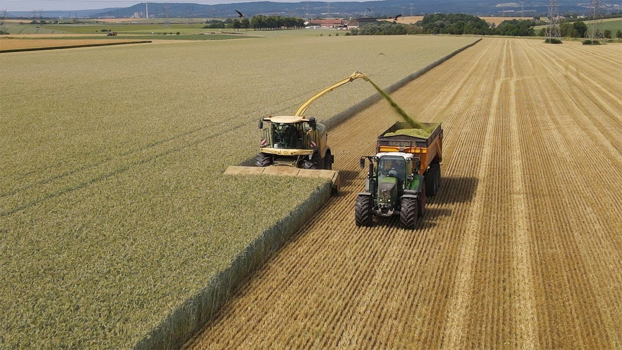 [Krone Big X 880] 🤩Ensileuse flambant neuve à la cuma de Vigy pour l'ensilage de triticale🌾