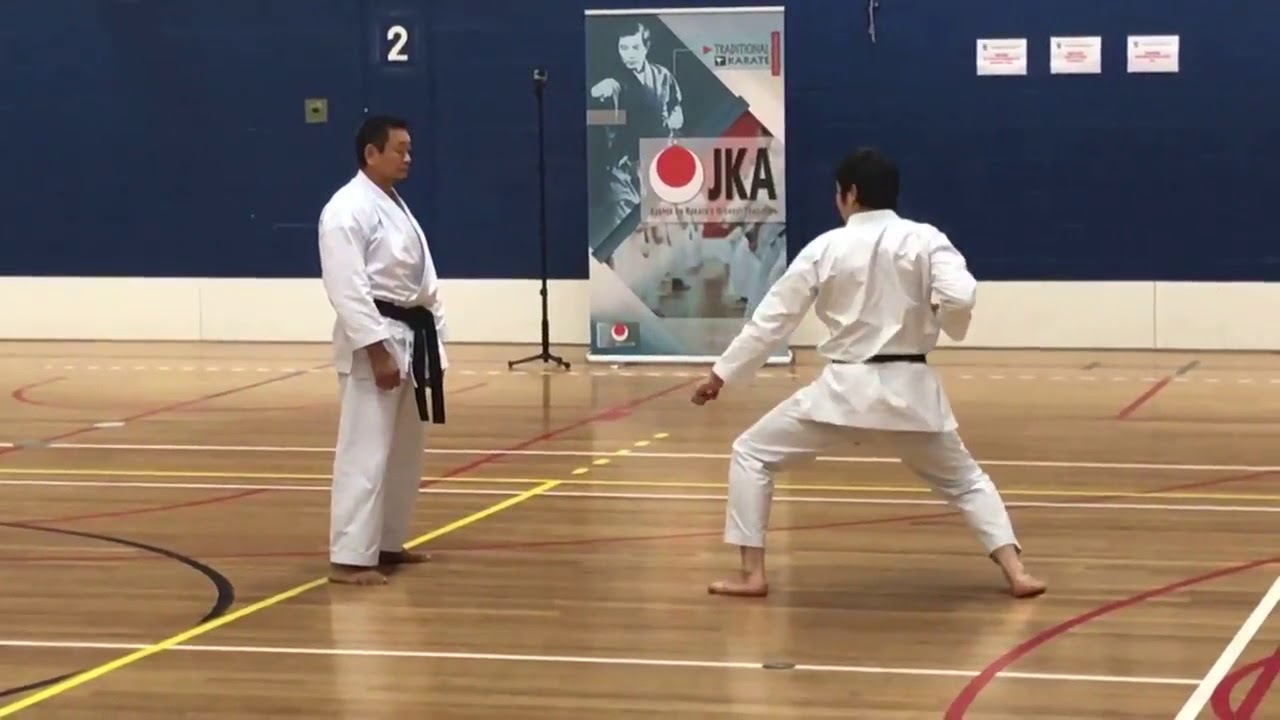 International JKA camp S MIYAZAKI 2018   demo Hanzaki Sensei and Chubachi Sensei