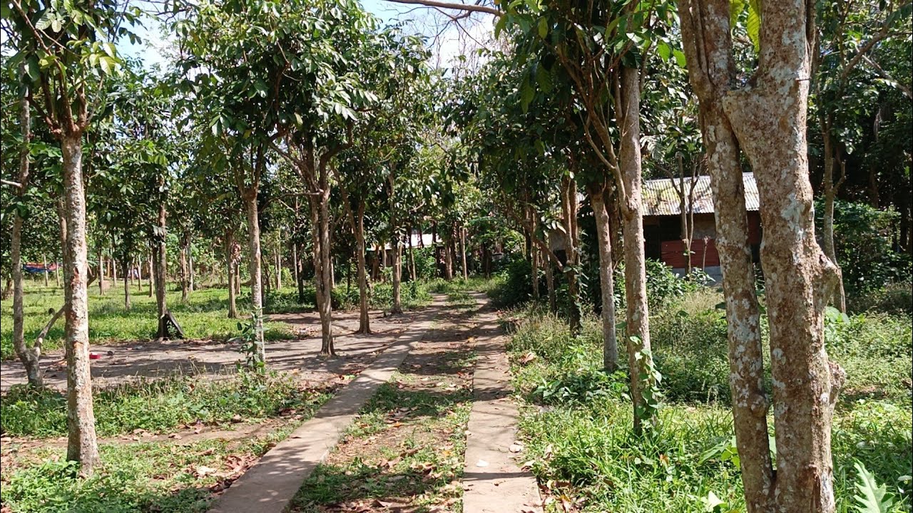 (P# 958) 3,100 sqms Farm Lot na may hot spring sa Bay, Laguna @ 11 Million price for sale