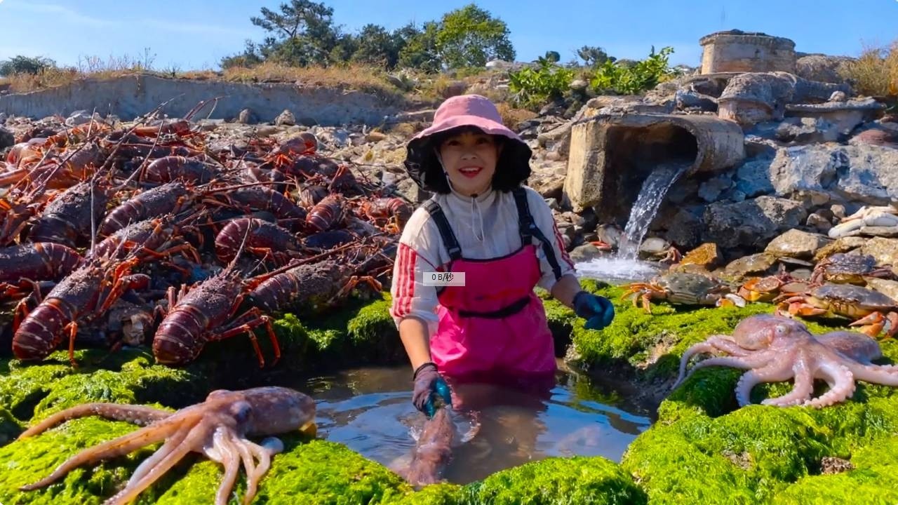 小章惊天运气，龙虾、八爪海滩开会，竟还有值钱大墨鱼【赶海小章官方频道】
