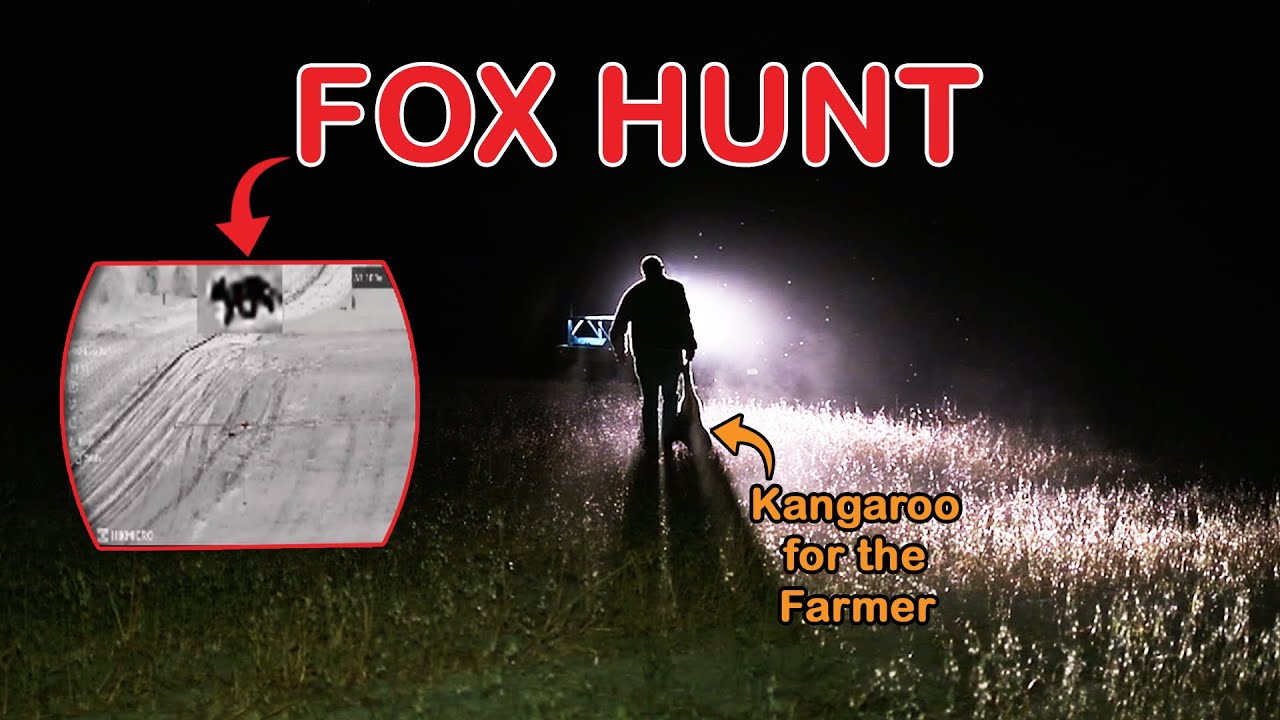 Fox Hunt