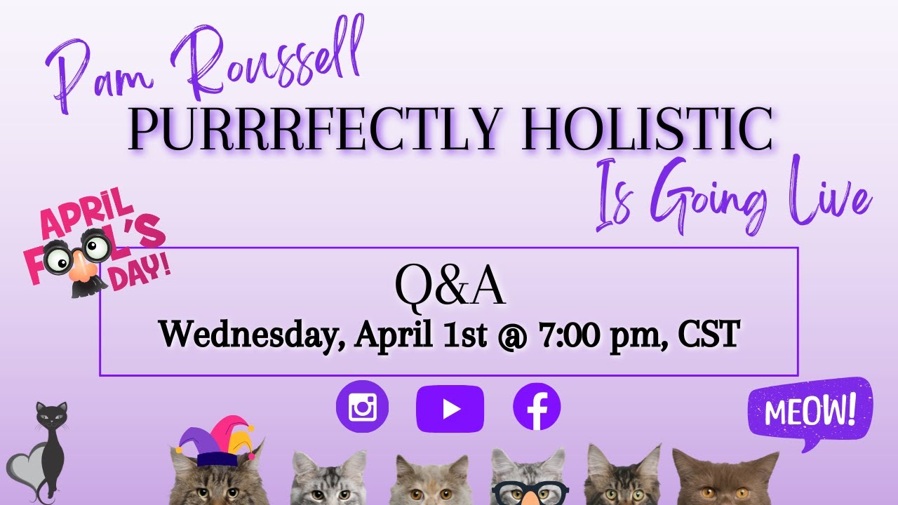 Holistic Cat Care Q&A--April 2026