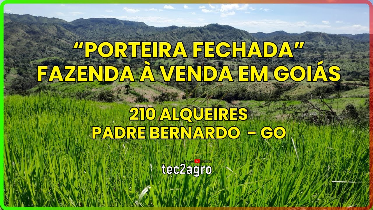 🌱 PORTEIRA FECHADA - Padre Bernardo - FAZENDA À VENDA EM GOIÁS [DUPLA APTIDÃO] #fazenda #tec2agro