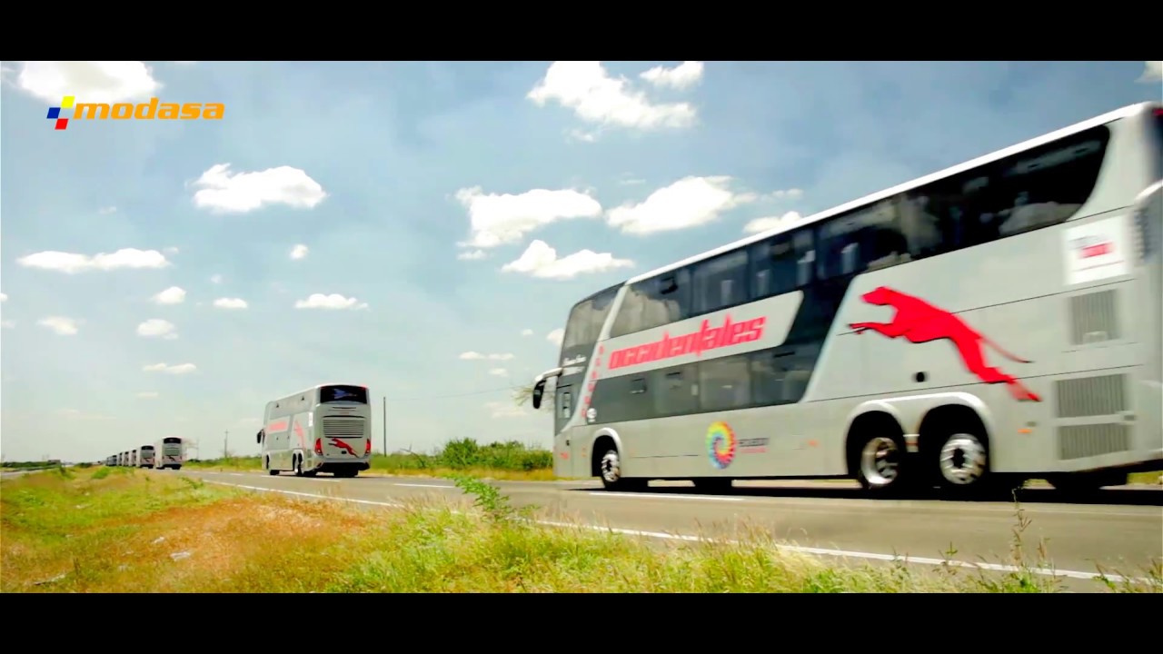 MODASA: entrega de BUSES  Zeus 3 A 