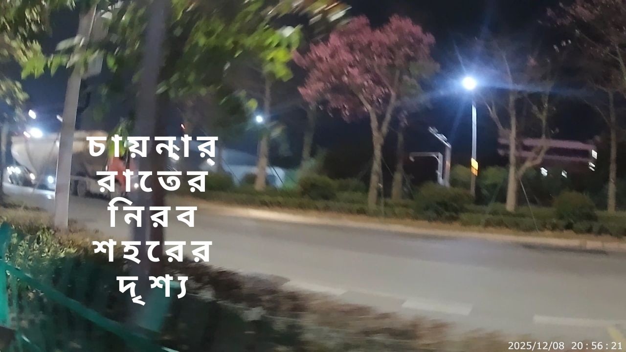চায়নার রাতের নিরব শহরের দৃশ্য ।। চায়নার  শহরের  বাজার ।।  rural life in fuzhou|| china street food