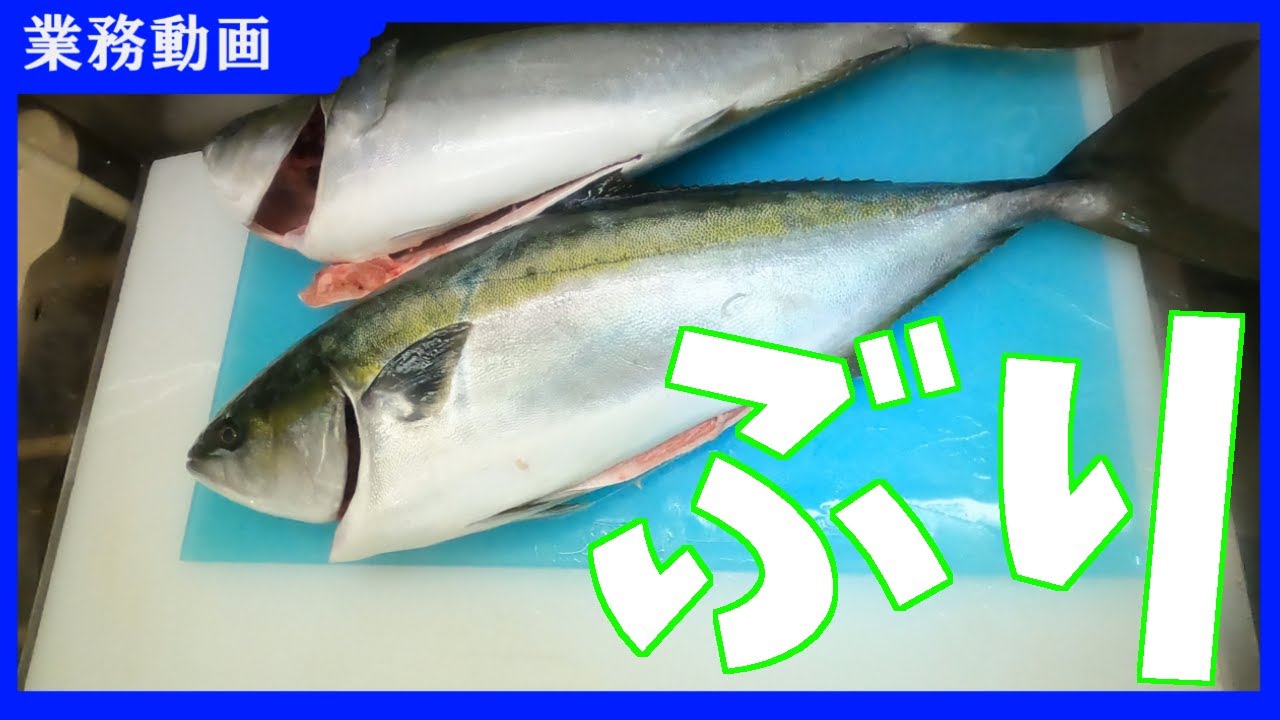 向こうが透けて見える骨！歩留り最高さばき方！ぶり！How to fillet Yellowtail(Buri)