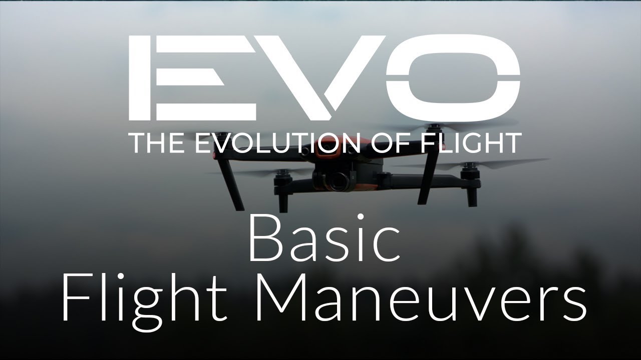 Basic Flight Maneuvers