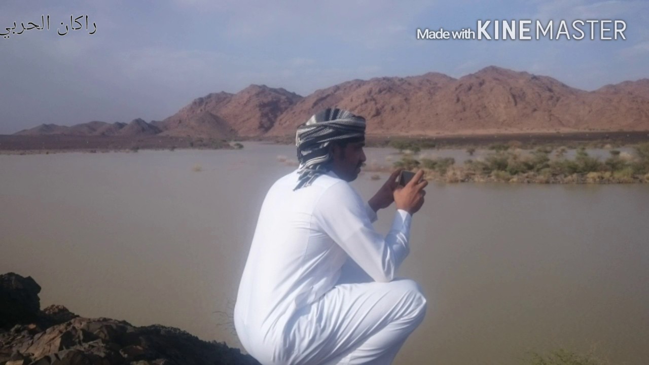 شيله / البر يعجبني ليا زان جوه جديد