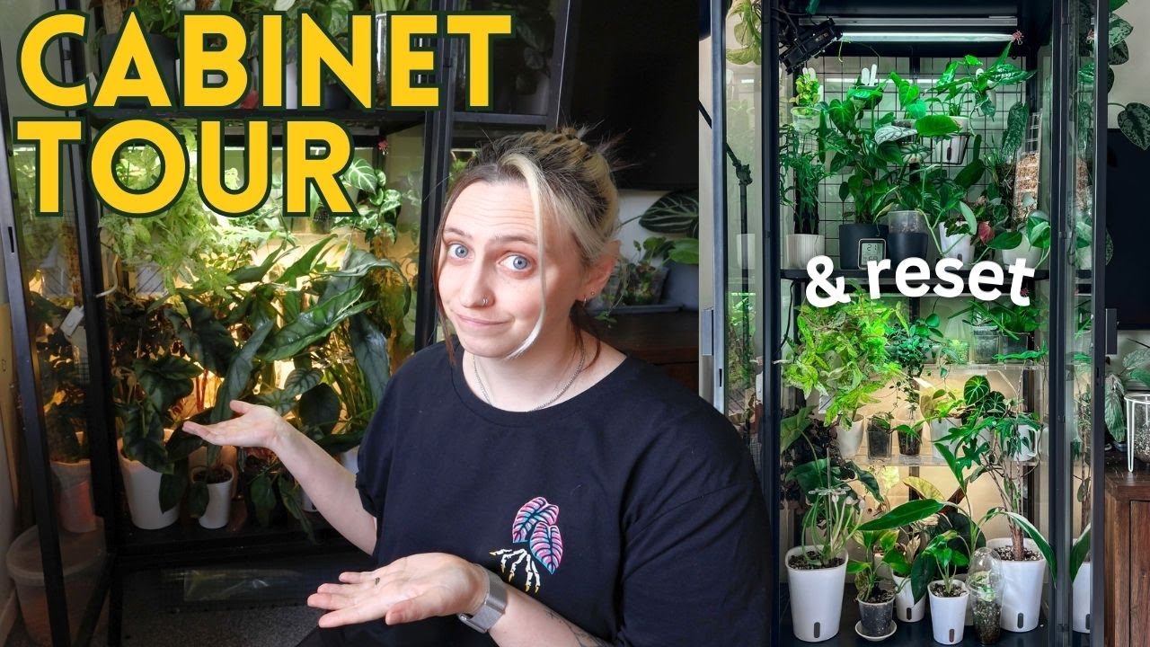 50+ Plants in One Cabinet?! 🌿 Greenhouse Tour & Glow-Up!