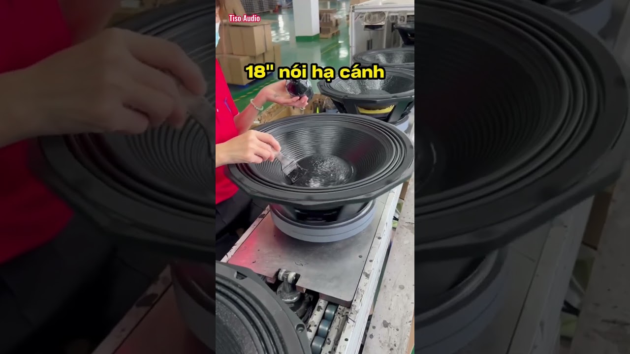 Cấu tạo v&agrave; C&aacute;ch L&agrave;m chiếc Bass Sub #shorts #shortvideo