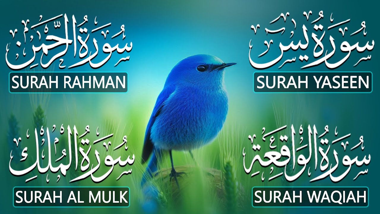 The Best Recitation Surah Yaseen Yasin  Surah Rahman  Surah Waqiah  Surah Mulk | By Alaa Aqel