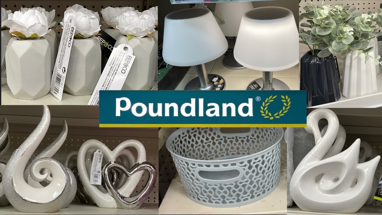 NEW FIND IN POUNDLAND / COME SHOP WITH ME / POUNDLAND HAUL | NUR SHOPPY