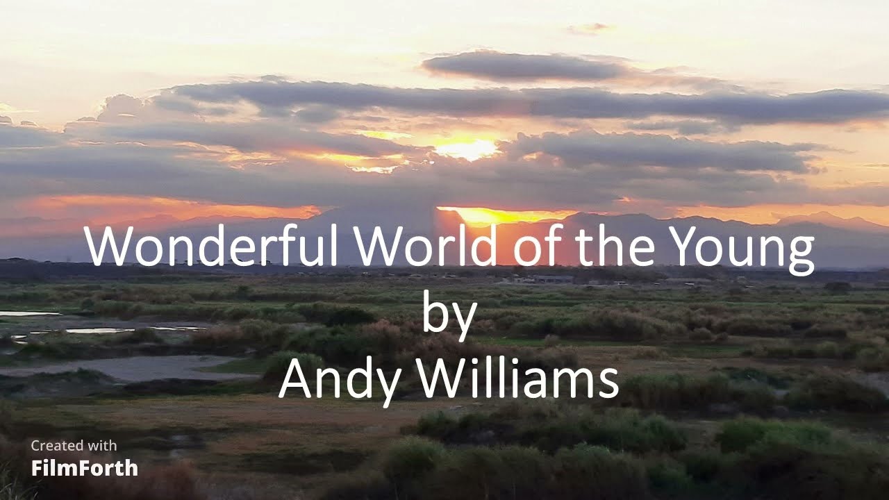 Andy Williams - Wonderful World of the Young