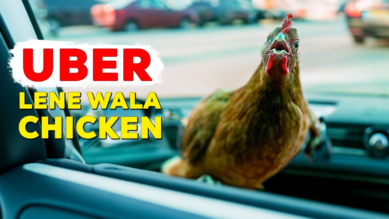 How this rescued chicken spends her day, will make you smile