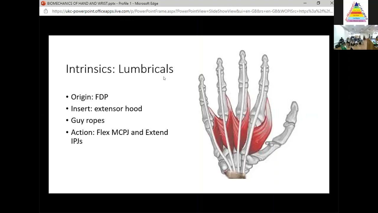 Biomechanics of Hand and Wrist- London Hand and Wrist Course