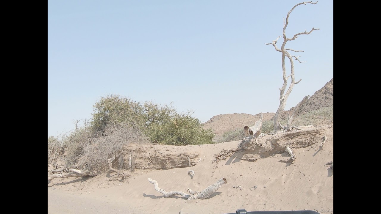 Koakaland; talking safe loo breaks, emergency water and emergency water