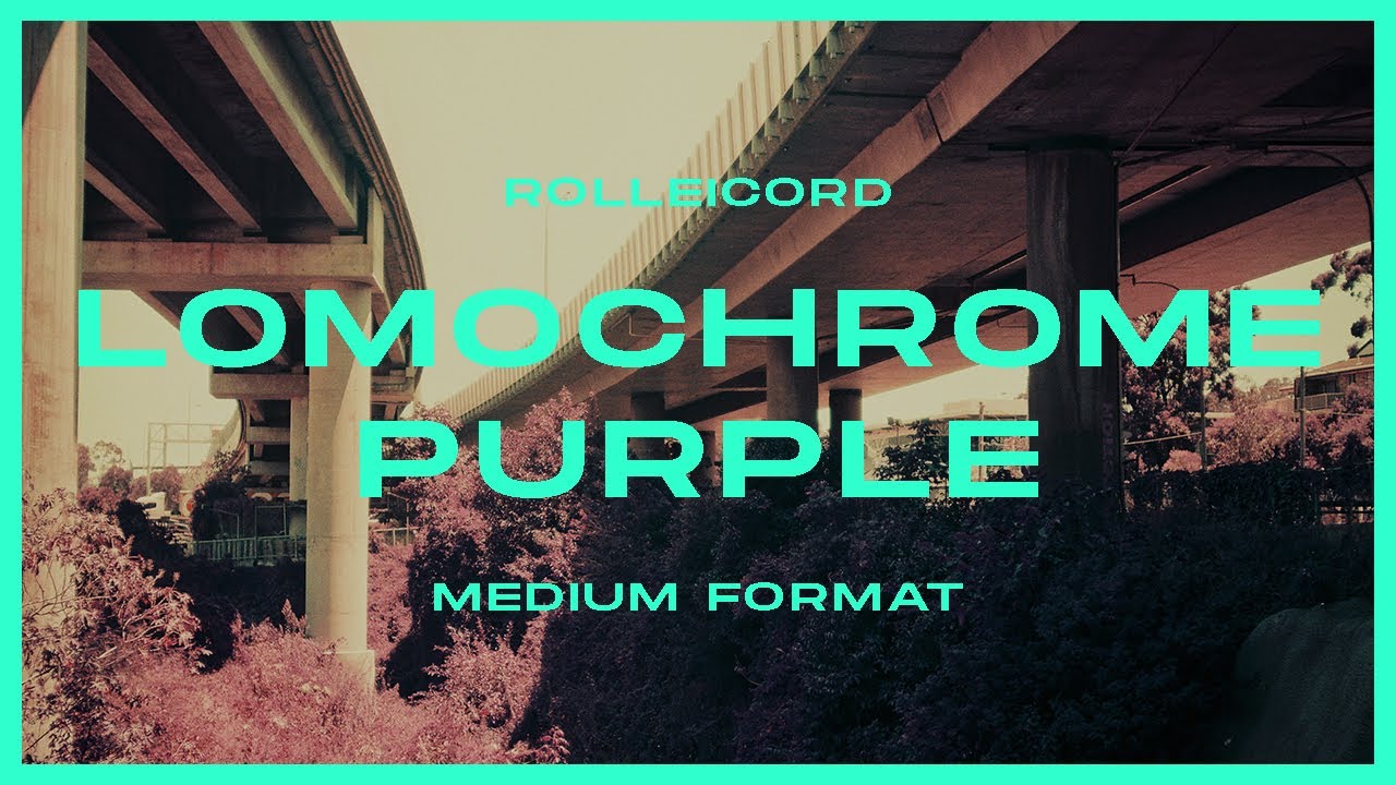 Rolleicord | first time using lomochrome purple film