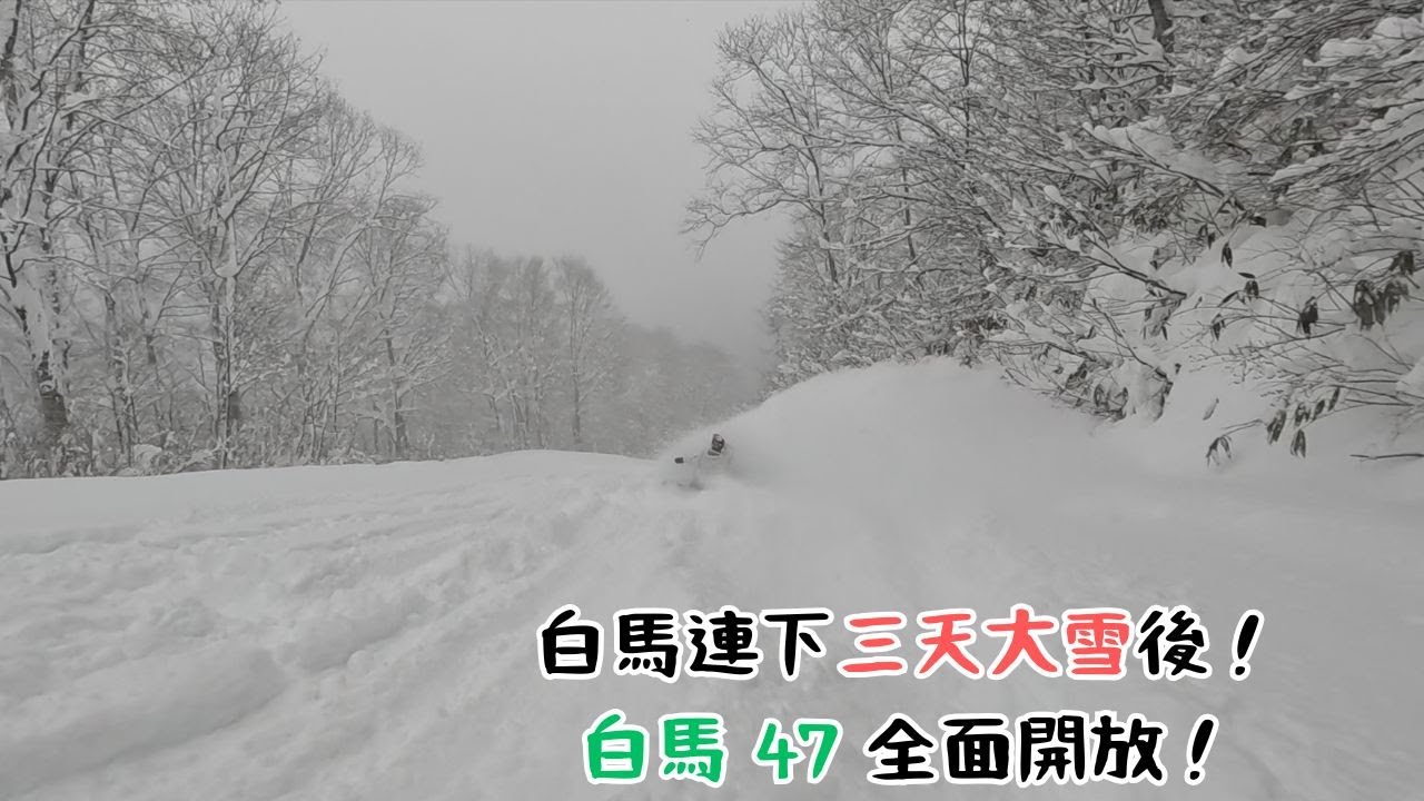 白馬連下三天大雪後！白馬 47 全面開放！【2025-2026 滑雪VLOG】
