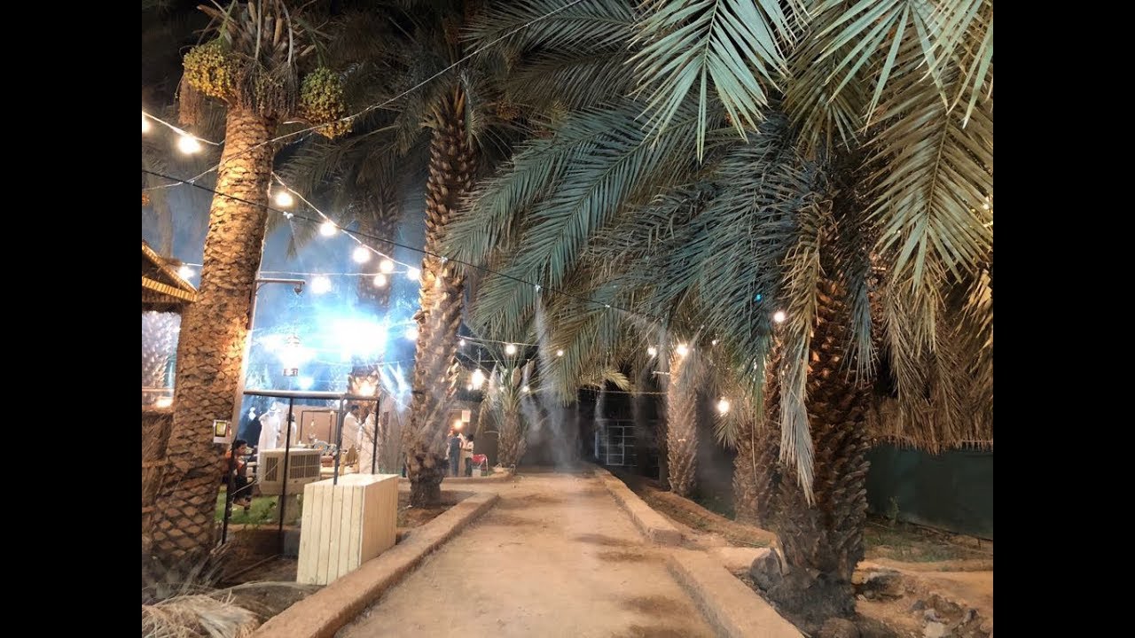 #تغطية : أول مزرعة سياحية في المدينة المنورة