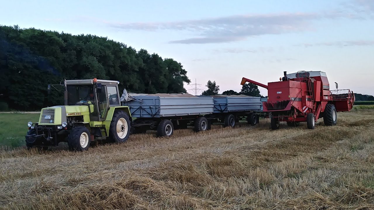 Fortschritt E 514 SX und ZT 323-A in der Roggenernte