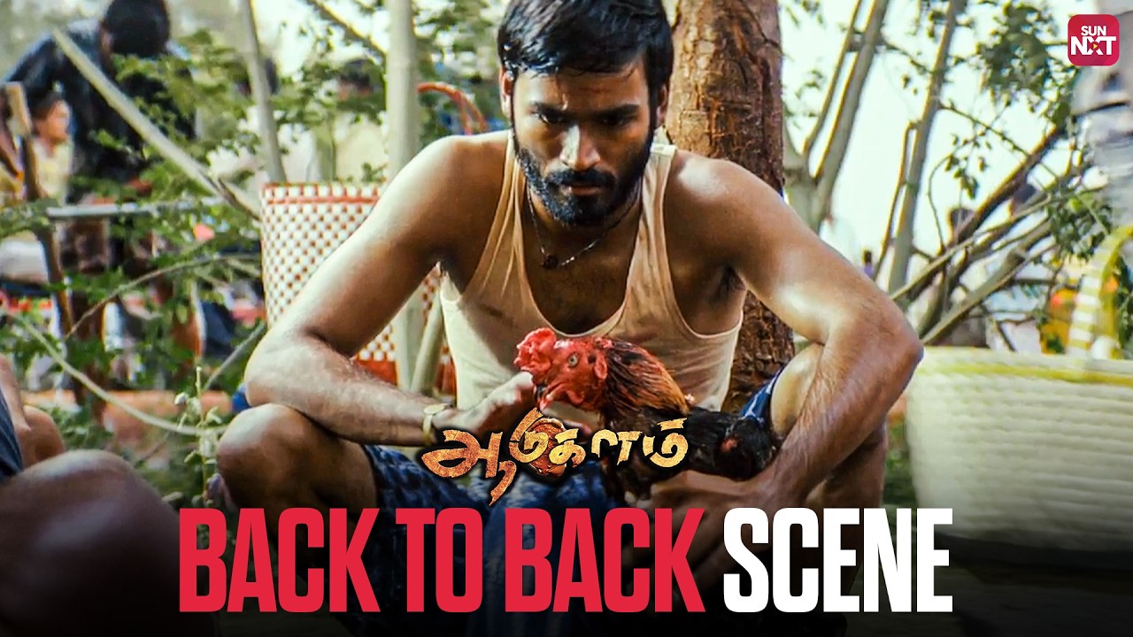 Aadukalam - Back to Back Scene | Dhanush |  Taapsee | Sun NXT