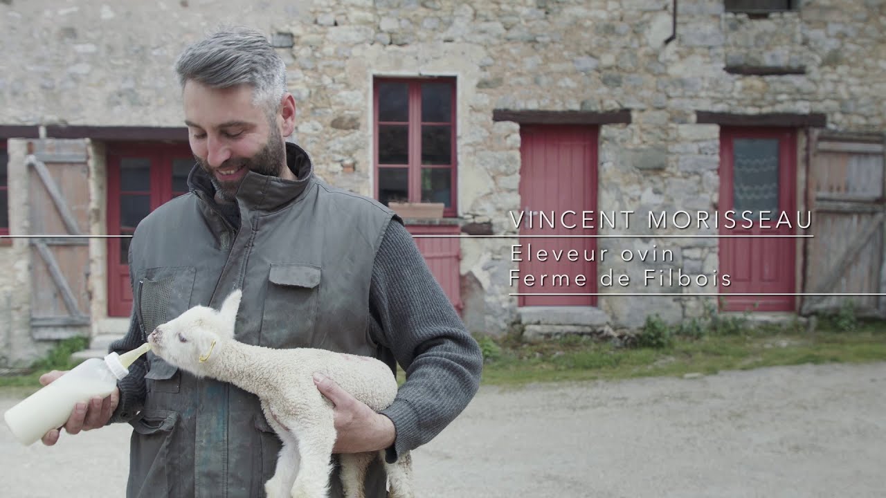 Un métier d'avenir : éleveur ovin