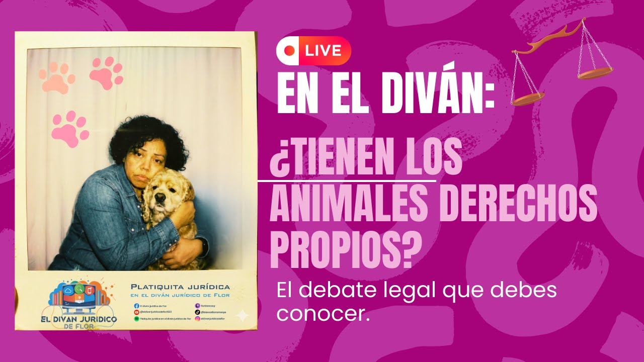 En el diván: ¿Tienen los animales derechos propios? El debate legal que debes conocer