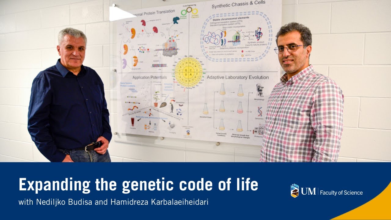 Changing the living cell&rsquo;s chemical composition through the expansion of the genetic code