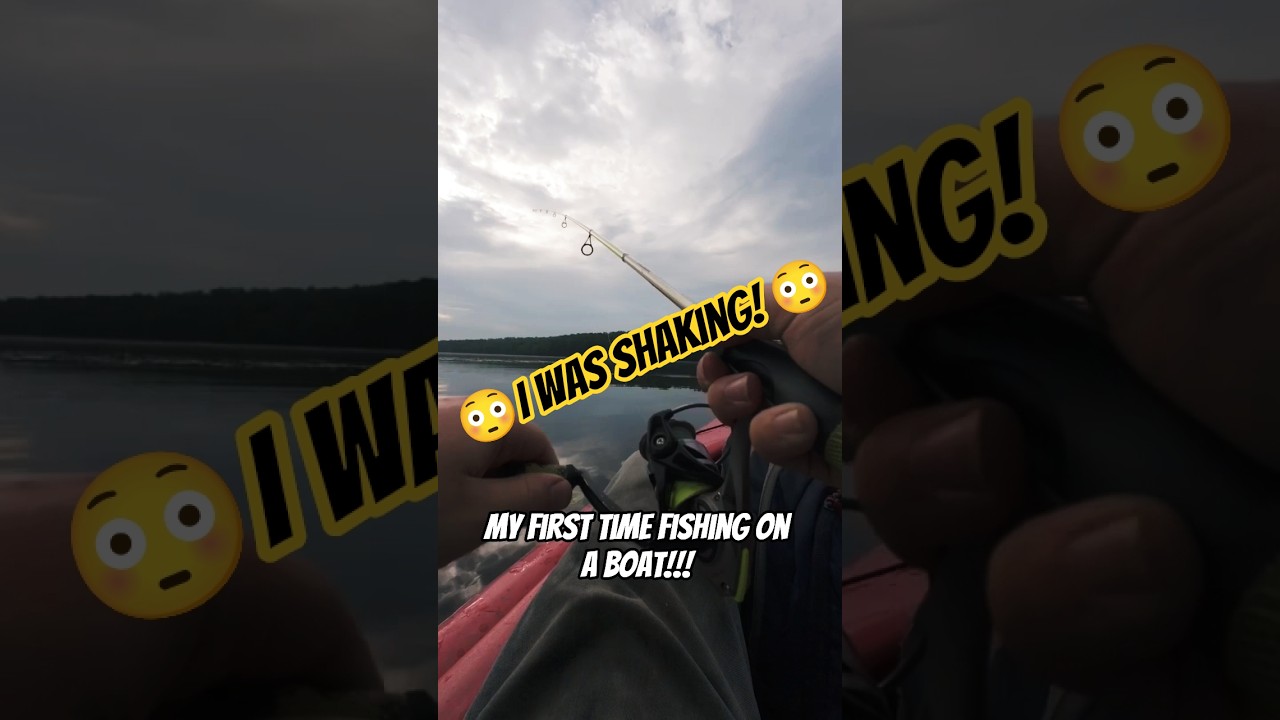 #boat #kayakfishing #bassfishing #fishing #fishingvideo #flyfishing #trout #wtf #fyp #funny #goals