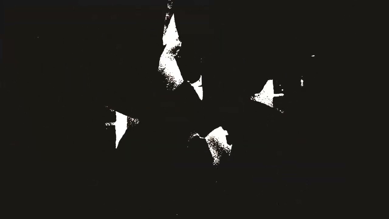 Baring Teeth - Obsolescence (Official Visualizer)