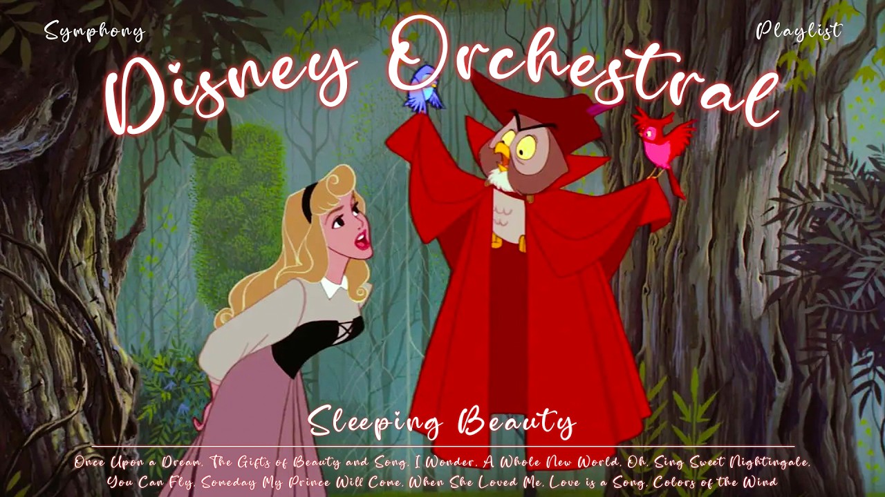 🦉 a playful fairytale scene in a magical woodland ✨ classic disney instrumentals to relax your mind