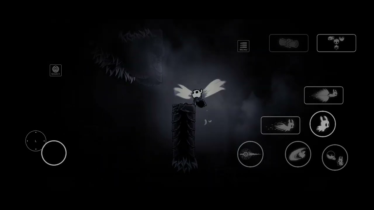 Hollow Knight 