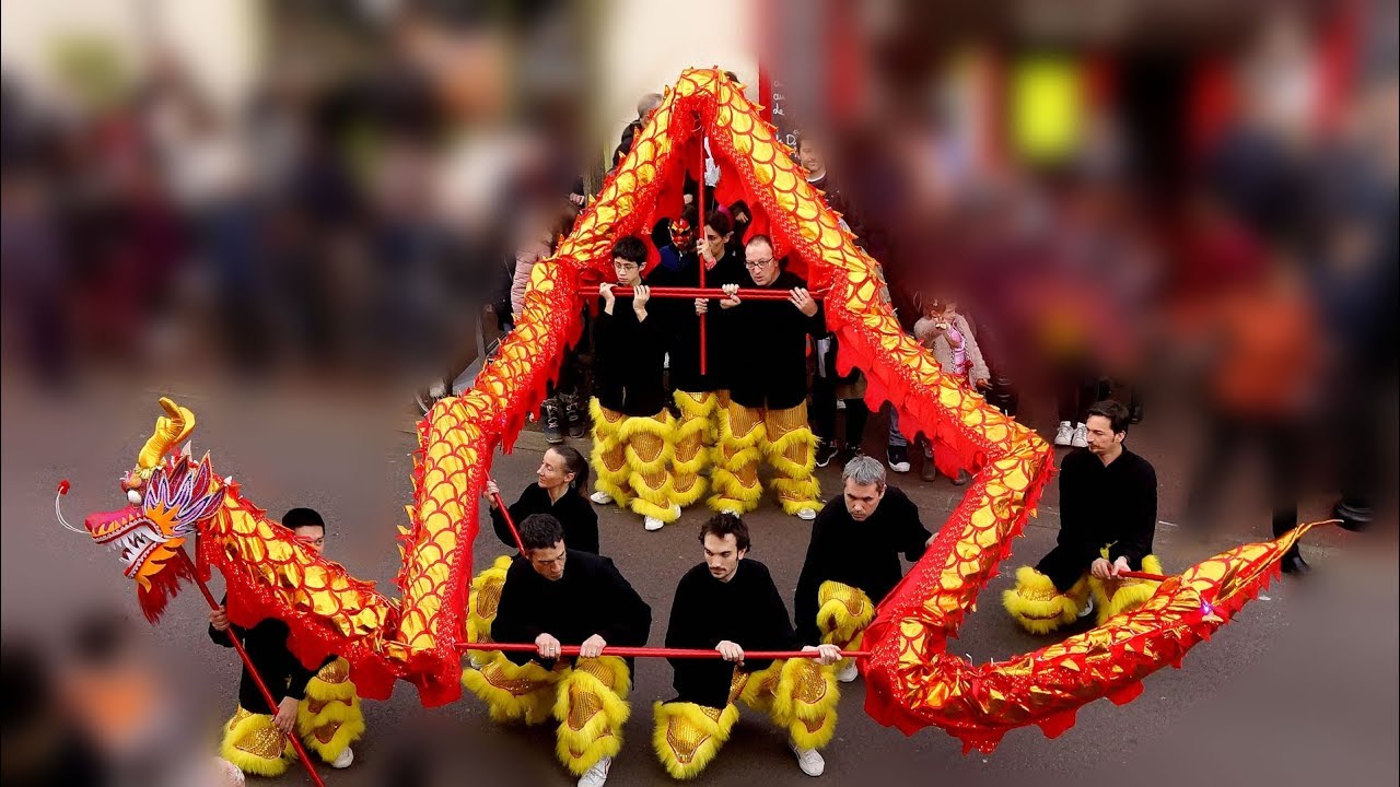NOUVEL AN CHINOIS l'ann&eacute;e du Cochon.