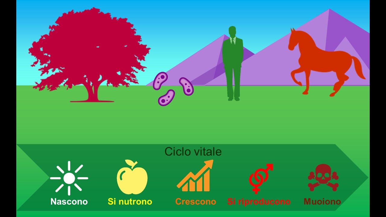 La cellula