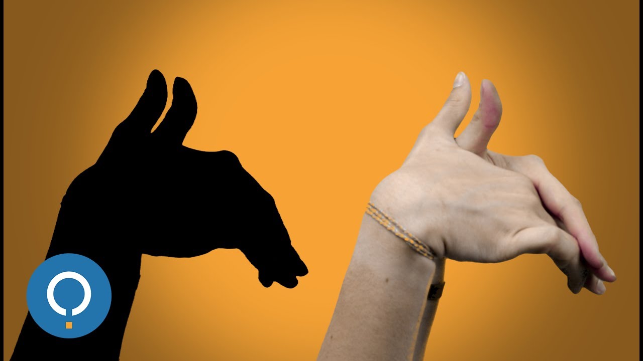 Ombre cinesi animali - Ombre cinesi facili per bambini